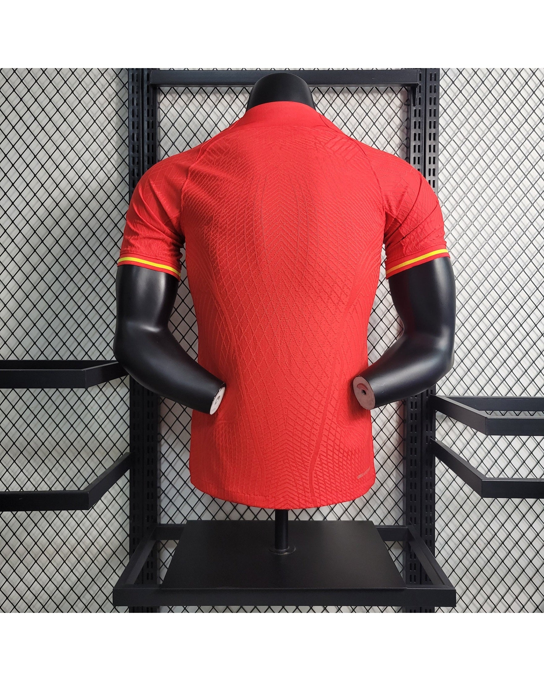 Maillot Domicile Chine 2023-2024